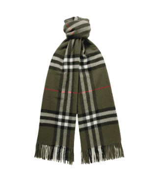 cozy holiday gifts for him, gift ideas for dad, burberry green scarf gift