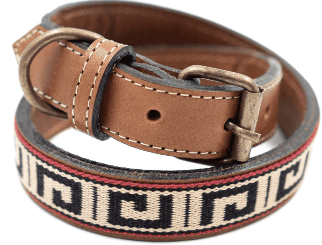 Nancy Meyers Inspired Pet collar