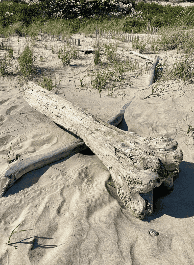 best beaches in the hamptons